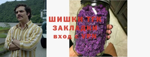 мдпв Богданович