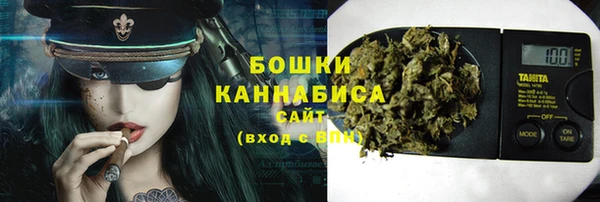 мдпв Богданович