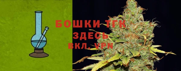 мдпв Богданович