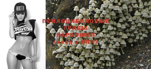 MDMA Богородск
