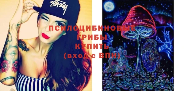 винт Богородицк