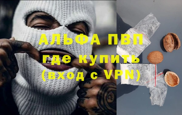 мдпв Богданович
