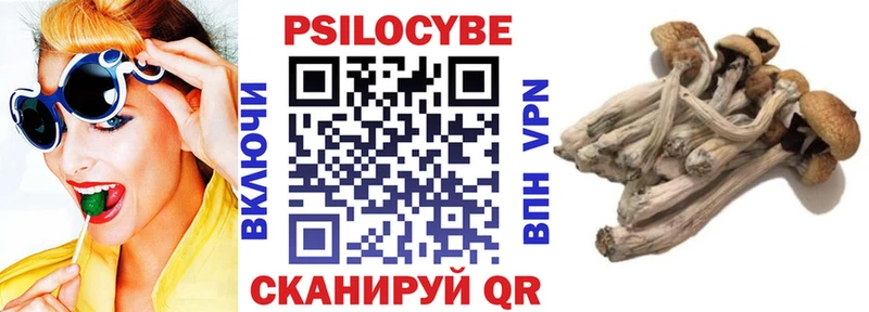 Купить где  Мамоново  Галлюциногенные грибы мицелий 