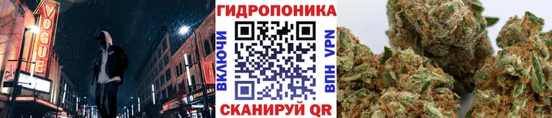 Бошки марихуана планчик  Купить где  Мамоново 